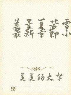 叶晨夏若雪孙怡最新章节小说