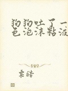 狗狗吐了一滩白色泡沫粘液应该咋办