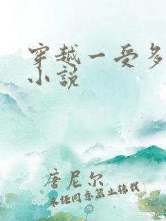 穿越一受多攻的小说