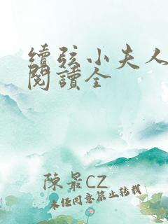 续弦小夫人免费阅读全