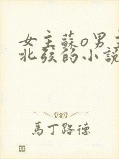 女主苏o男主顾北弦的小说