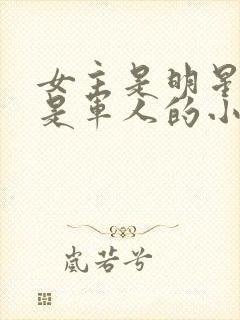 女主是明星男主是军人的小说