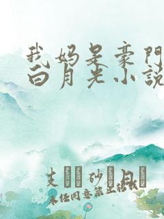 我妈是豪门大佬白月光小说