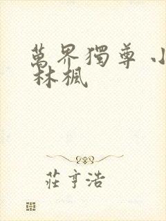 万界独尊 小说 林枫