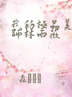 我的极品美女老师林雨薇