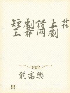 短剧错上花轿嫁王爷网剧