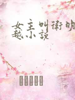 女主叫卫明的穿越小说