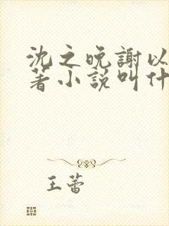 沈之晚谢以安原著小说叫什么