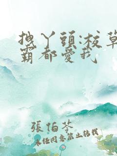 拽丫头:校草校霸都爱我