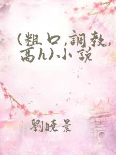 (粗口,调教,高h)小说