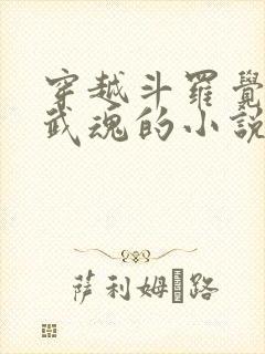 穿越斗罗觉醒剑武魂的小说