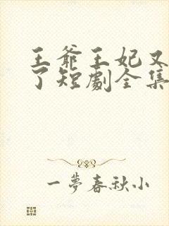 王爷王妃又开挂了短剧全集