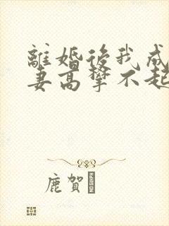 离婚后我成了前妻高攀不起