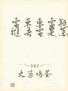 电单车电瓶充不进去电是怎么办