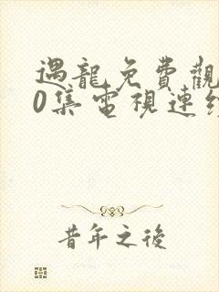 遇龙免费观看40集电视连续剧