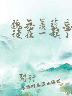 魏无羡蓝忘机最后在一起了吗