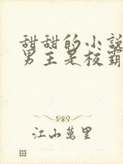 甜甜的小说校园男主是校霸