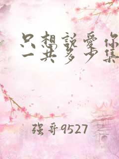 只想说爱你泰剧一共多少集