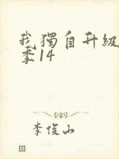 我独自升级第二季14