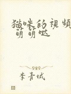 猫咪的视频可爱 萌萌哒