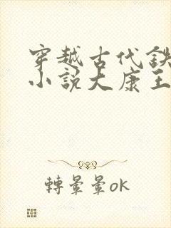 穿越古代铁匠的小说大康王朝