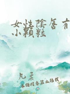 女性阴唇有两个小颗粒