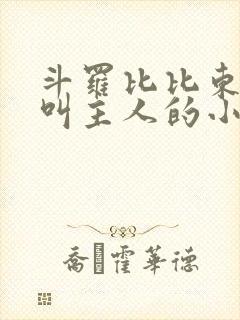 斗罗比比东女仆叫主人的小说