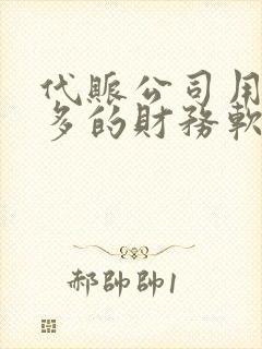 代账公司用的最多的财务软件