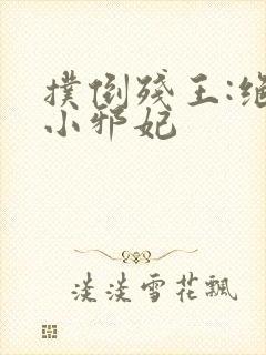 扑倒残王:绝宠小邪妃