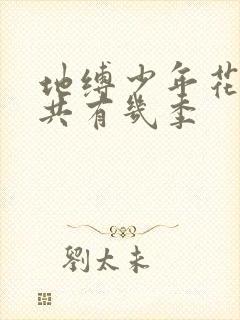 地缚少年花子君共有几季