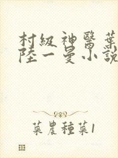 村级神医叶风云陆一曼小说免费阅读