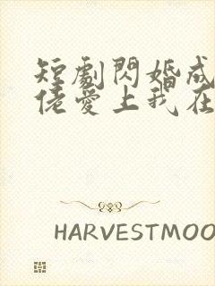 短剧闪婚成宠大佬爱上我在线免费看