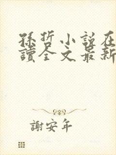 孙哲小说在线阅读全文最新