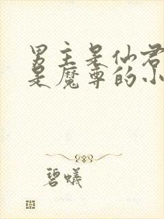 男主是仙君女主是魔尊的小说