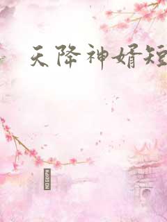 天降神婿短剧