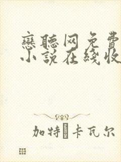 恋听网免费有声小说在线收听全小全