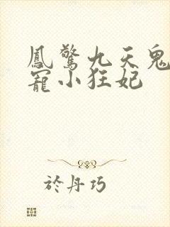 凤惊九天鬼帝溺宠小狂妃