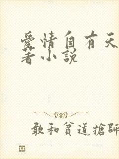 爱情自有天意原著小说