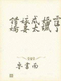 错嫁成婚霍少小娇妻太飒了