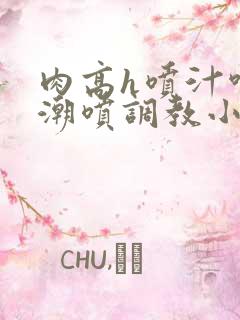 肉高h喷汁呻吟潮喷调教小说