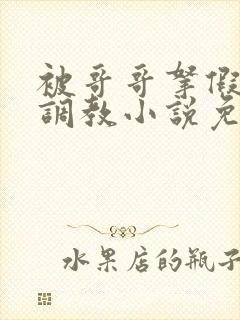 被哥哥拿假阳具调教小说免费阅读