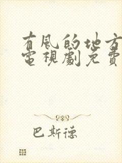 有风的地方在线电视剧免费观看