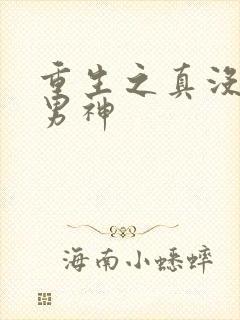 重生之真没想当男神