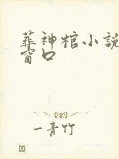 葬神棺小说无弹窗口