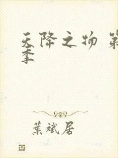 天降之物 第一季