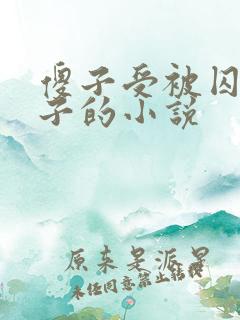 傻子受被囚禁生子的小说