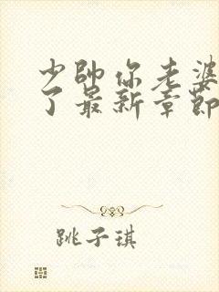 少帅你老婆又跑了最新章节