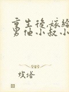 重生后,嫁给渣男他小叔小说