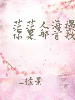 茫茫人海遇见了你是哪首歌的歌词