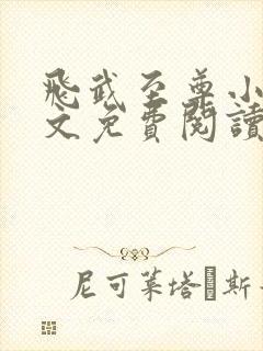 飞武至尊小说全文免费阅读